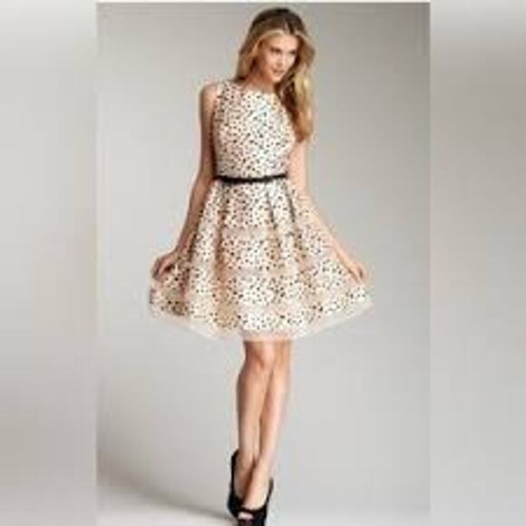 NEW Taylor Blush Black Polka Dot Fit Flare Cocktail Dinner Party Dress - Picture 1 of 8